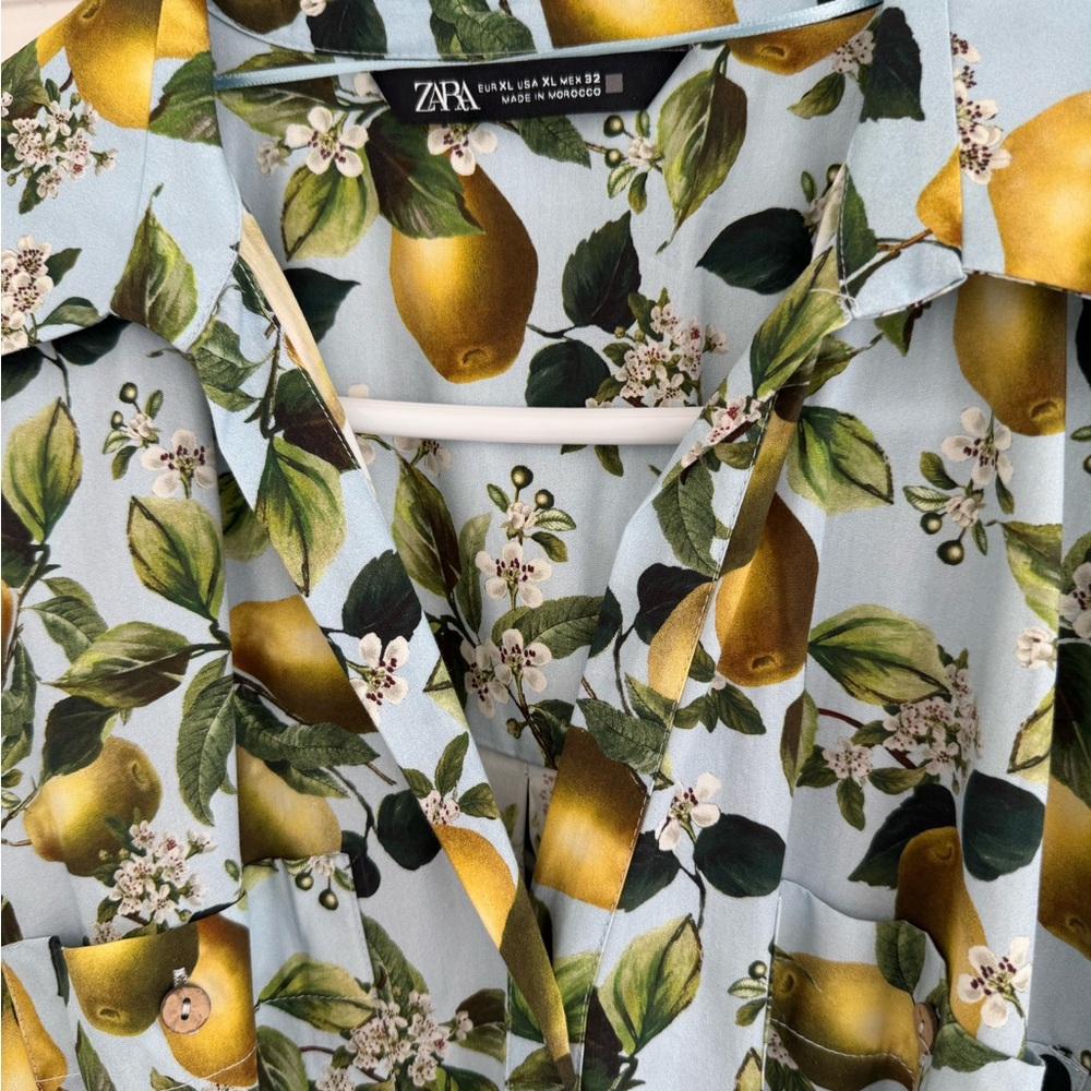 Zara Lemon and Leaf Print Dress - Maxi